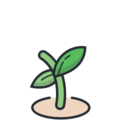 Image of seedling