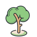 Image of a small tree